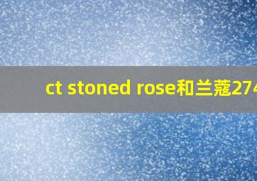 ct stoned rose和兰蔻274